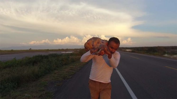 Obra Un Hombre que Camina