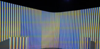 Carlos Cruz-Diez