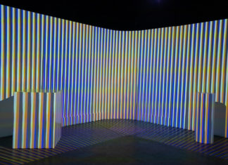 Carlos Cruz-Diez