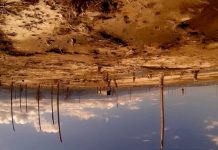 Still de Amérika - Bahia de las flechas. Foto: Divulgação.