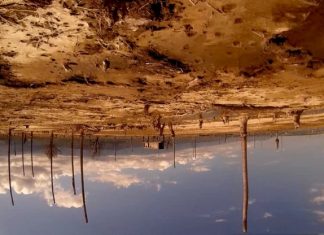 Still de Amérika - Bahia de las flechas. Foto: Divulgação.