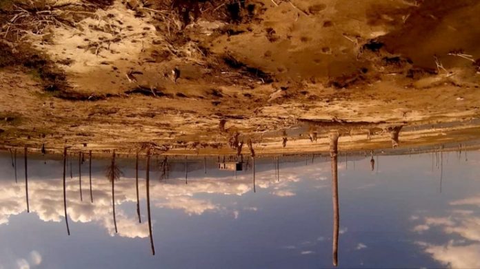 Still de Amérika - Bahia de las flechas. Foto: Divulgação.