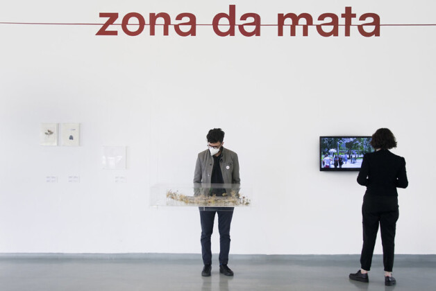 Foto horizontal, colorida. Vista da exposição ZONA DA MATA no MAM São Paulo. Ao fundo, uma parede branca e sobre ela, em letras vermelhas minúsculas, lê-se ZONA DA MATA. Um risco horizontal atravessa a palavra ao meio. Em primeiro plano, logo abaixo do escrito, um visitante contempla uma obra, exposta em um pequeno aquário de vido retangular. A obra se assemelha a vegetação, mas não é possível percebê-la em detalhes. Ao lado, outro visitante assiste ao vídeo que passa em uma pequena tela, acoplada a parede do fundo.