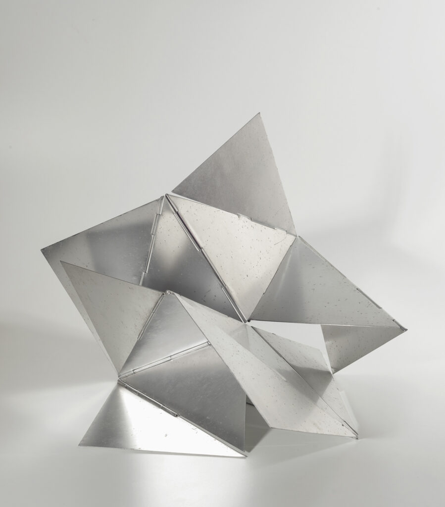 Lygia Clark "Bicho" (1960). Foto: Jaime Acioli.