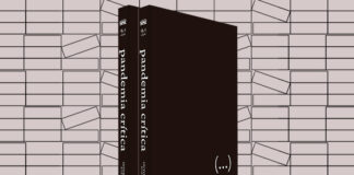 Foto horizontal, colorida. Ao centro, os dois volumes de PANDEMIA CRÍTICA. Os livros estão em pé, lado a lado e levemente na diagonal. Tem capas pretas, na lombada lê-se o título em letras cinza. Ao fundo, uma estampa em preto e branco geométrica, meramente ilustrativa.