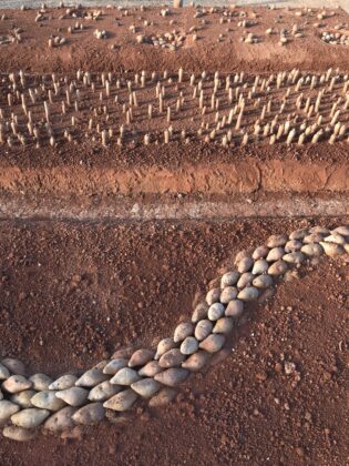 Detalhe de "Campo da fome", de Matheus Rocha Pitta.