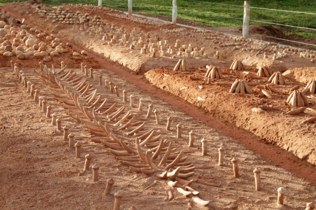 Detalhe de "Campo da fome", de Matheus Rocha Pitta.