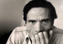 Pier Paolo Pasolini. Foto: divulgação Sesc.