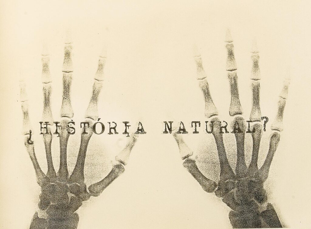 ¿História Natural?, de Rosana Paulino