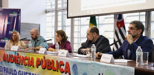 Representantes de fóruns, sindicatos e coletivos de artistas, durante audiência pública na Assembleia Legislativa